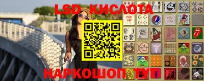 прущие грибы Краснознаменск