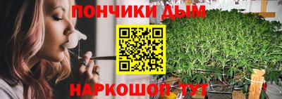 прущие грибы Краснознаменск