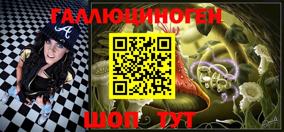 Галлюциногенные грибы Psilocybine cubensis Ефремов