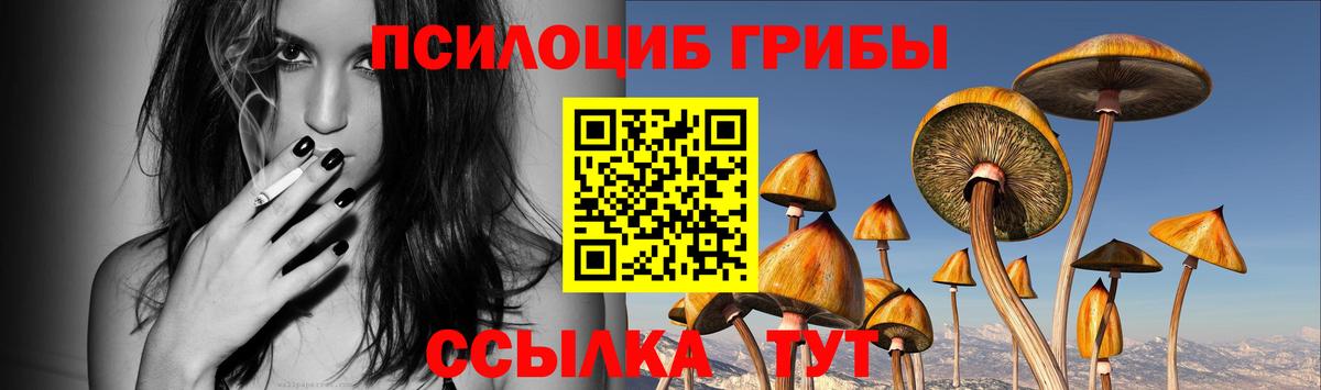 Ефремов  Галлюциногенные грибы GOLDEN TEACHER  Вход с VPN  Псилоцибиновые грибы GOLDEN TEACHER 